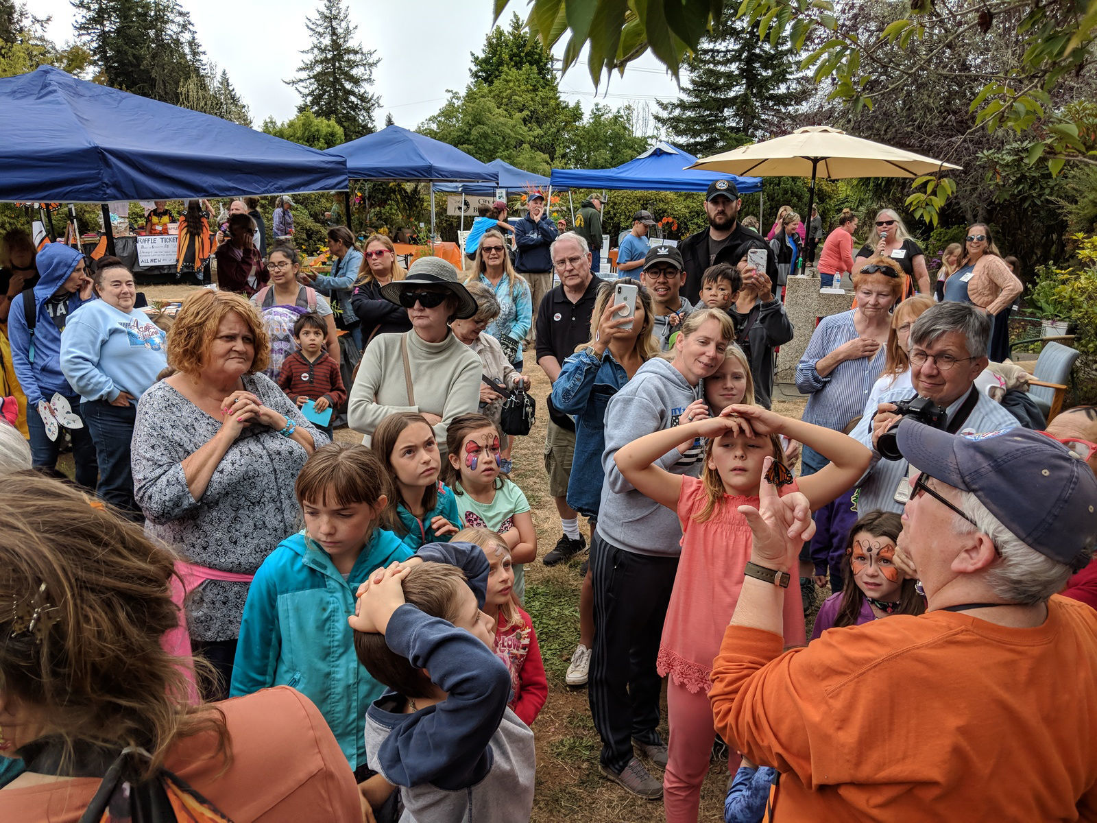 Butterfly Festival Attendance